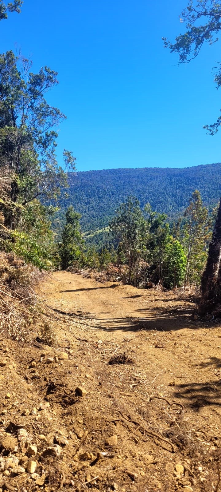 camino del pudu camino