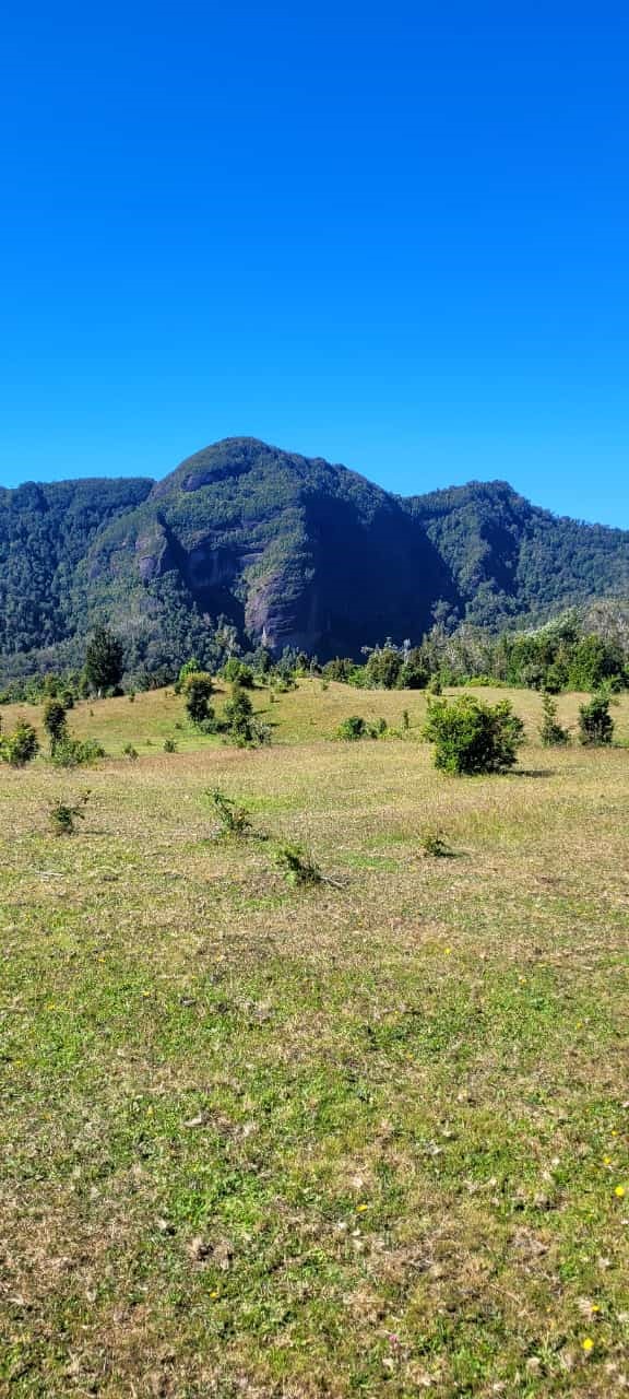 camino del pudu cerro