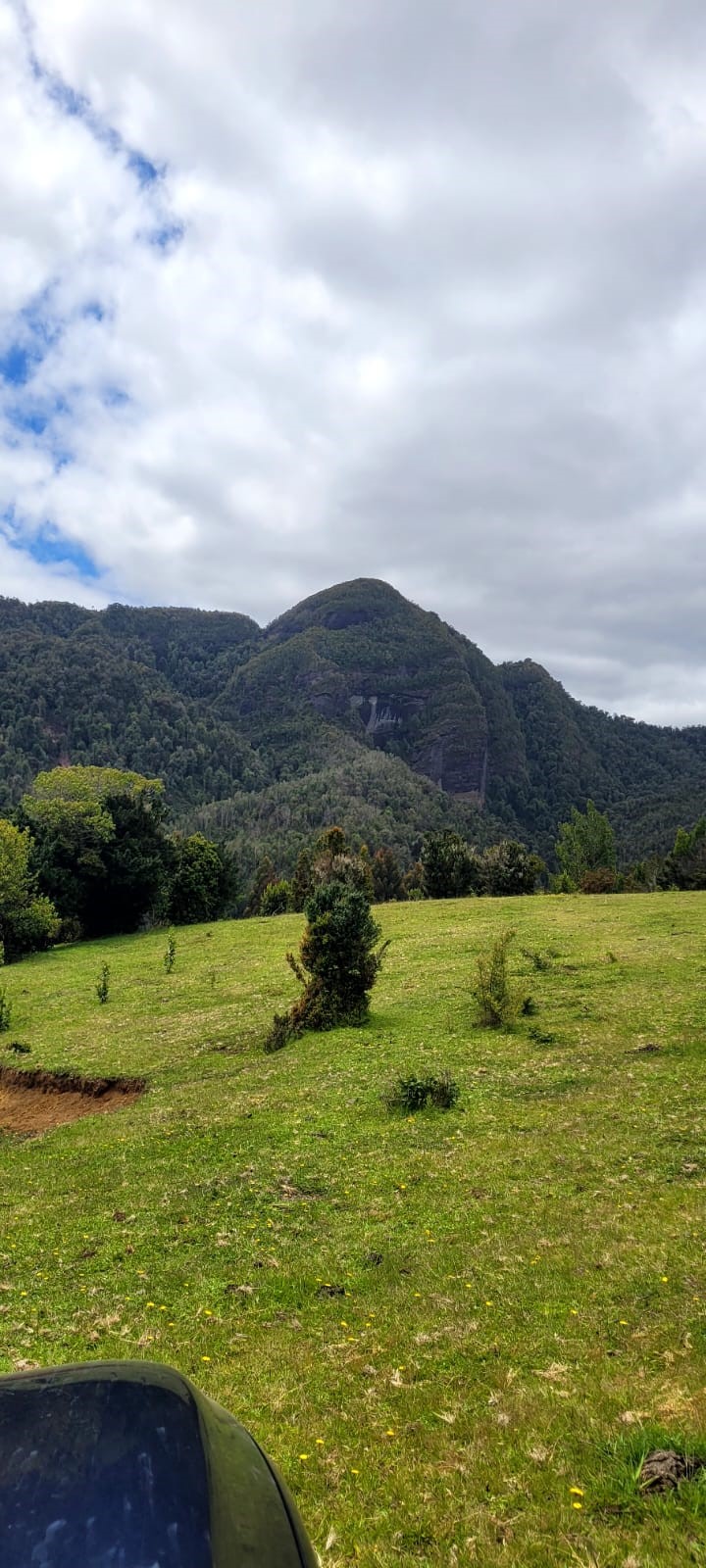 camino del pudu cerro2