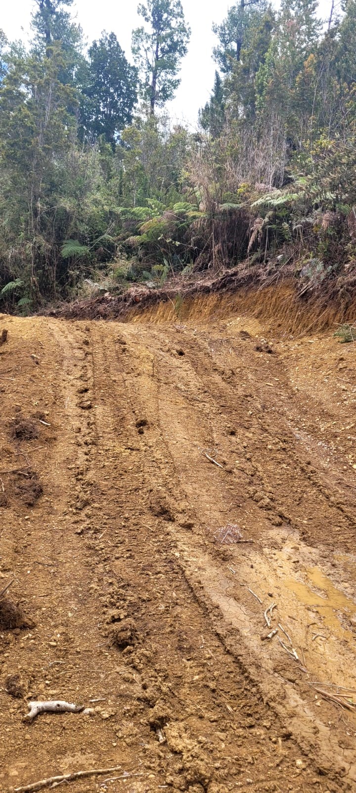camino del pudu sendero1