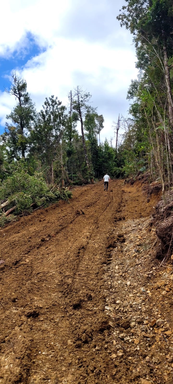 camino del pudu sendero2