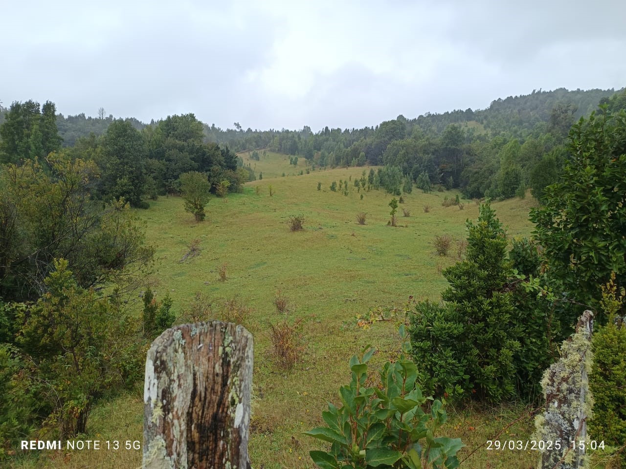 chucao 1 vista cerro