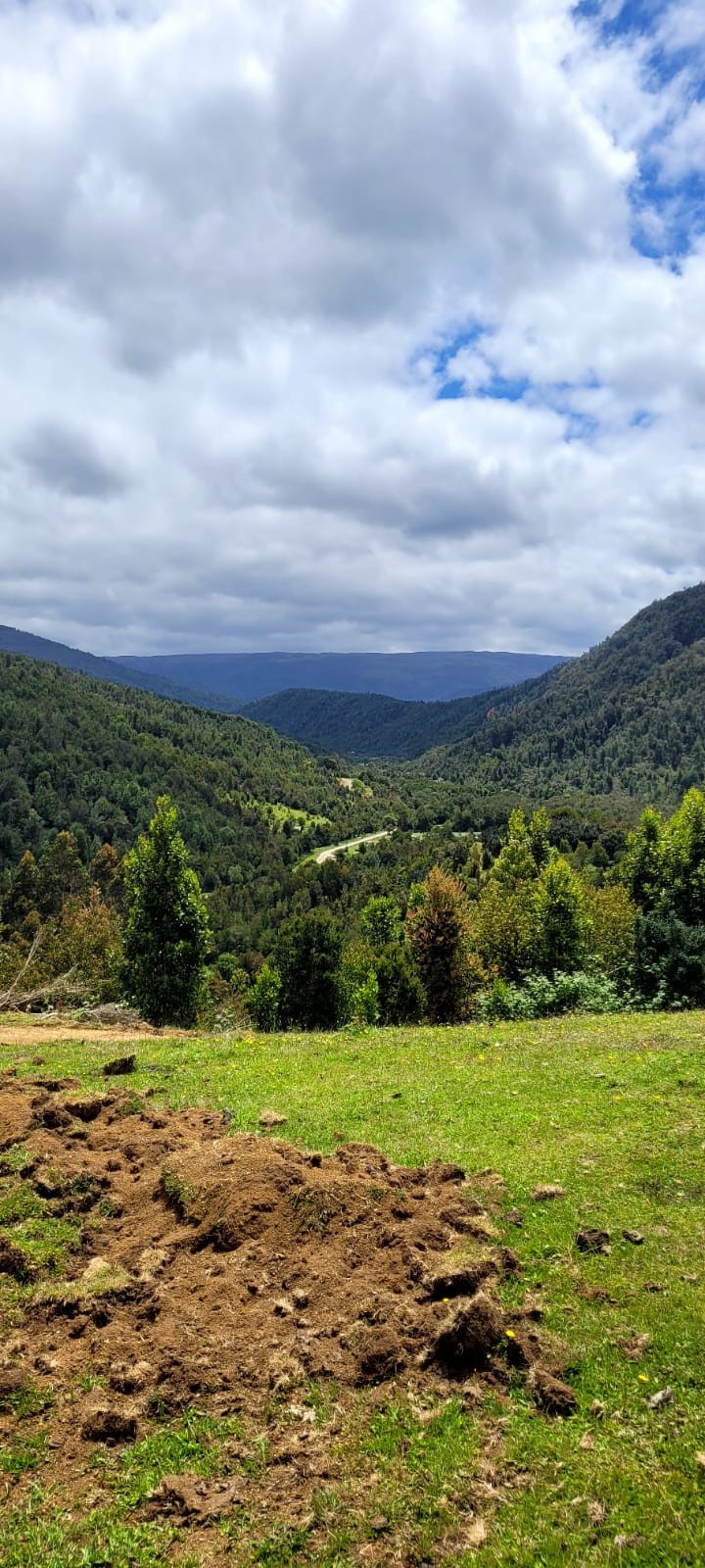 camino del pudu vistacerro